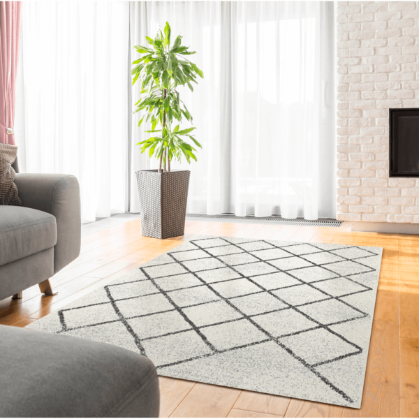 mates-typ-2-koberec-interier2