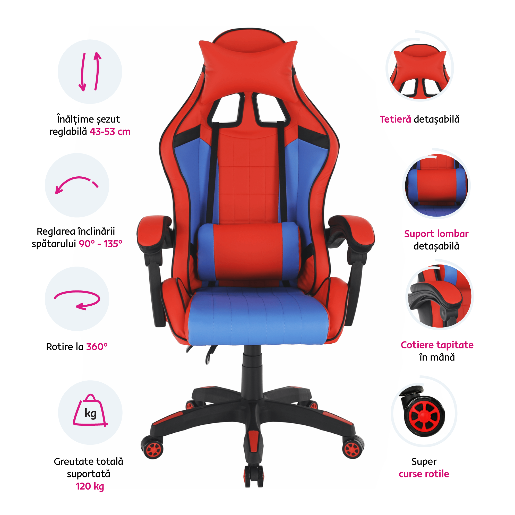 spidex-infografika-ro